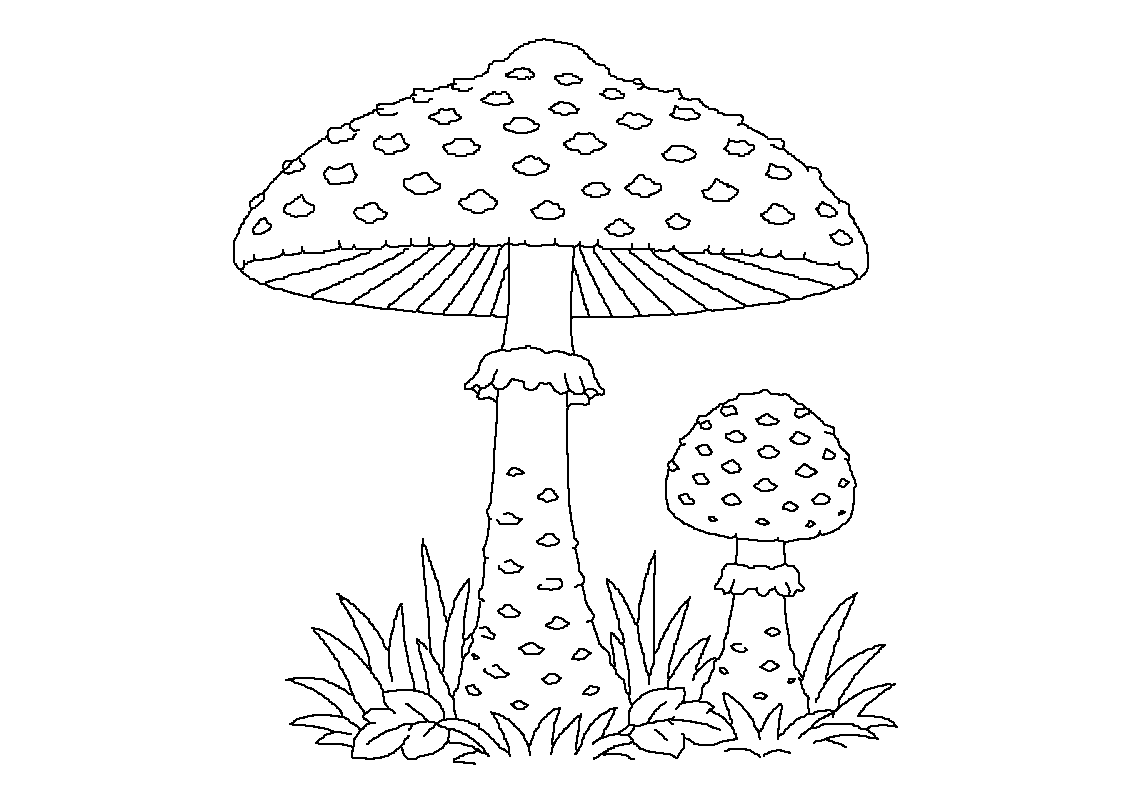 Goba Dežnik